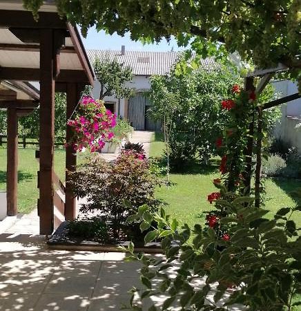 Ferienwohnung Maks und Kris Sankt Andrä bei Frauenkirchen Exterior foto