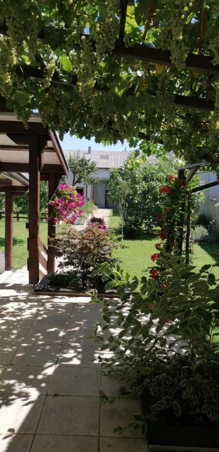 Ferienwohnung Maks und Kris Sankt Andrä bei Frauenkirchen Exterior foto